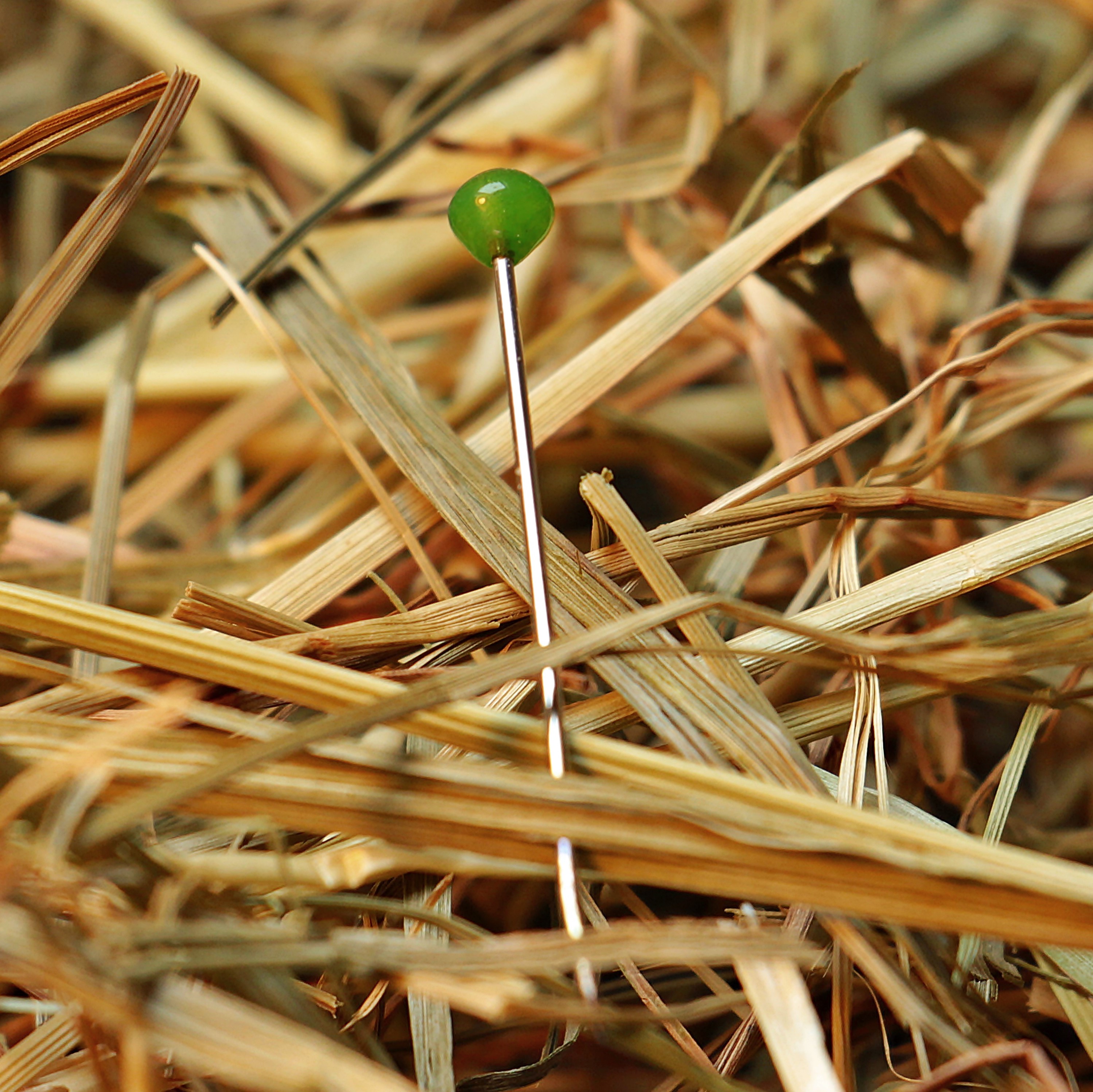 a photo of a pin with a big top on straw